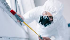 Best Pest Control for Multi-Family Homes  in Williamstown, WV